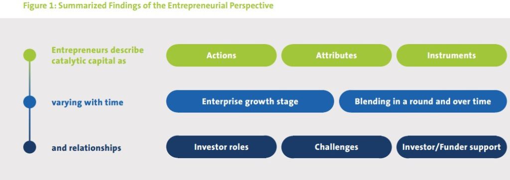 summarised findings of the entrepreneurial perspective--impact investment
