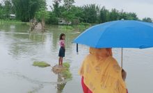 A woman holding a blue umbrella looks over the flooded land in Bongaigaon-flood