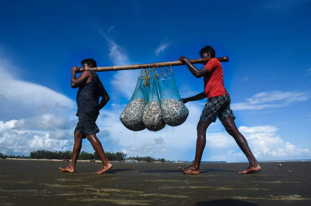 Two farmers carrying fishes in nets hung on a wooden stick_livelihood of fishing community