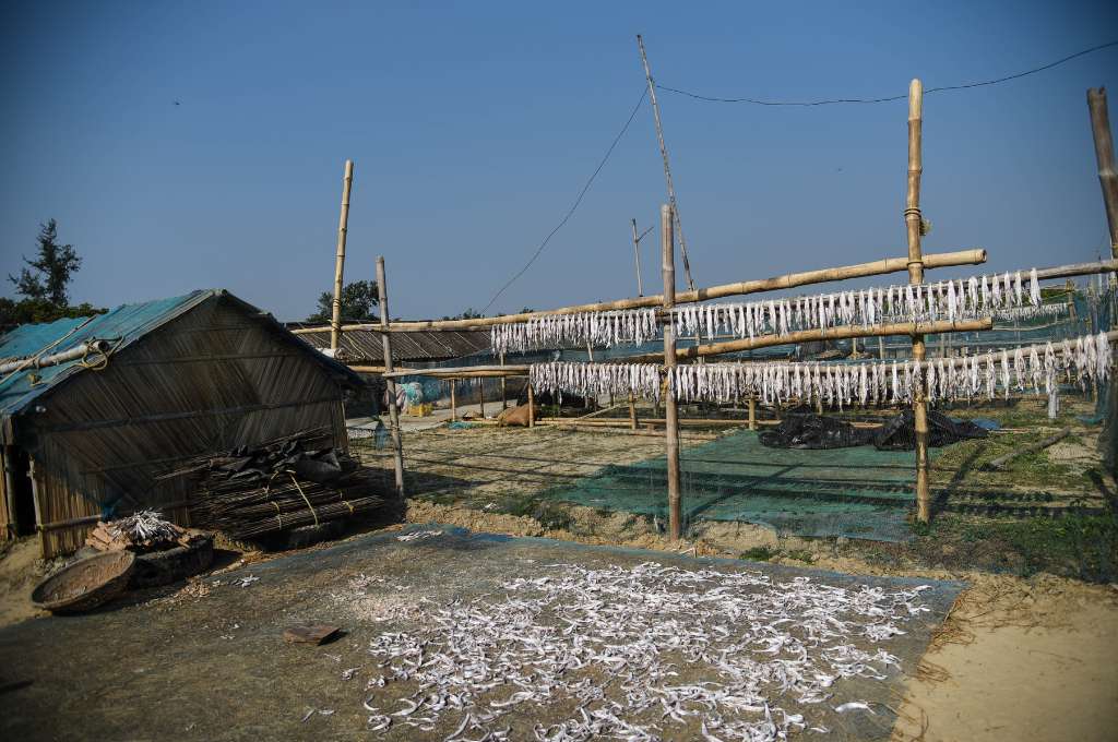 A hut on the left. Fishes are hanging on wooden poles beside the hut and also on the floor in front of the hut_livelihood of fishing community