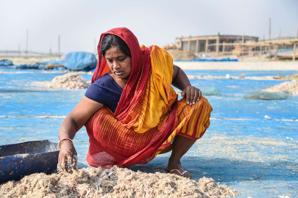 Profile of Saraswati Das, a fishworker, who is sorting fish while sitting on the ground_livelihood of fishing community