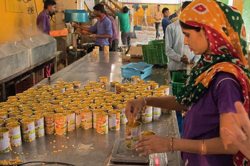 a woman putting corn into a can--women in india's manufacturing sector