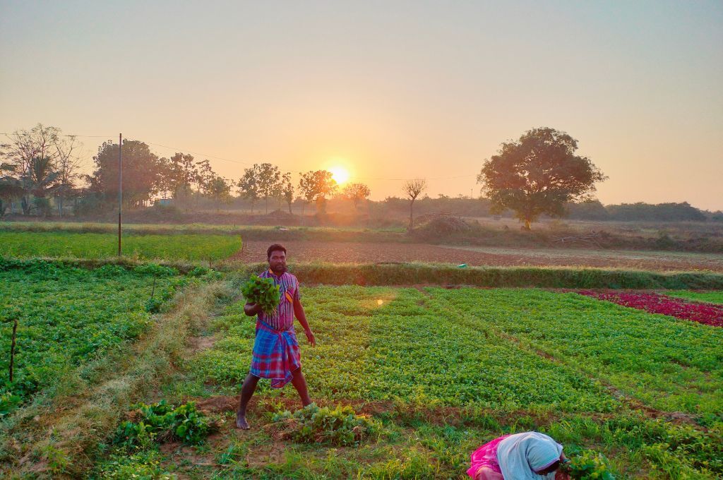 a man and a woman working in a field--farming and alcoholism