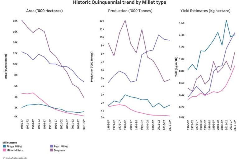Millet cultivation in India History and trends IDR
