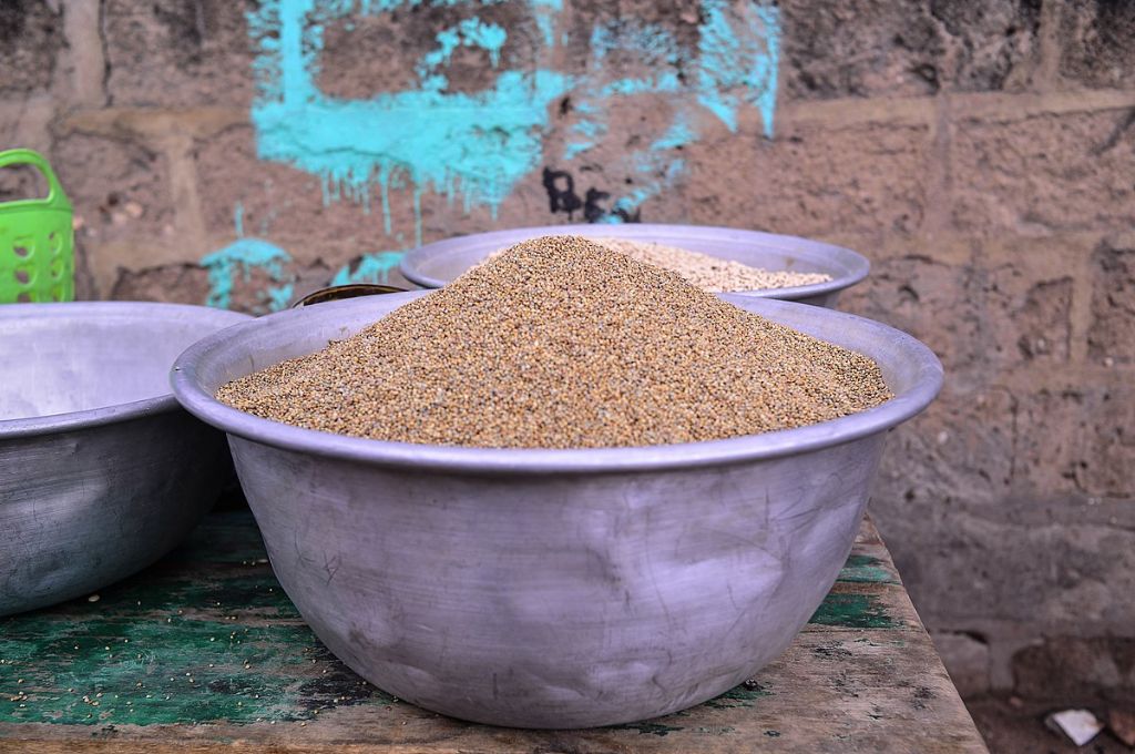 millets in a bowl-millet farming