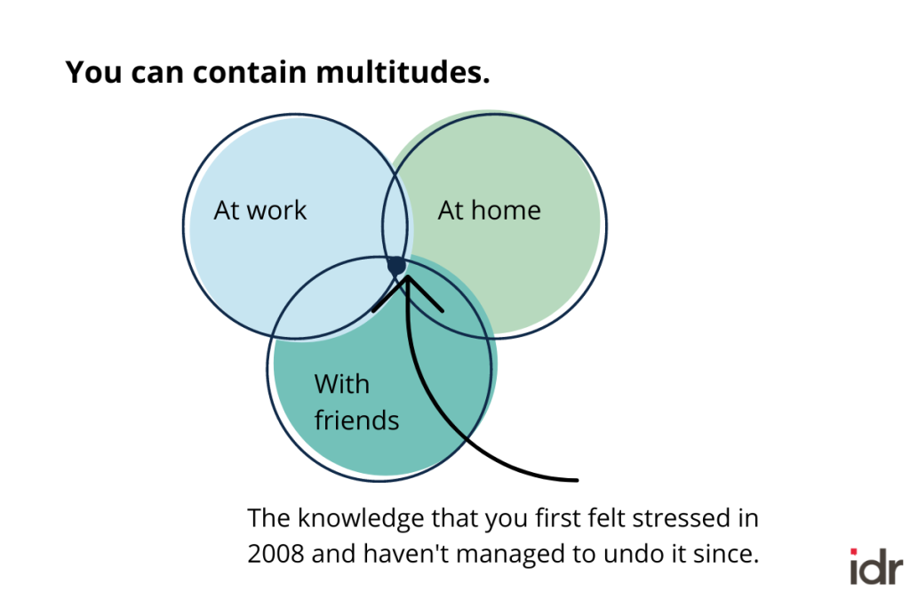 Venn diagram saying you can contain multitudes: three circles; first labeled "at work;" second labeled "at home;" third labeled "with friends." The circles overlap in a central position labeled "The knowledge that you first felt stressed in 2008 and haven't managed to undo it since."_nonprofit humour