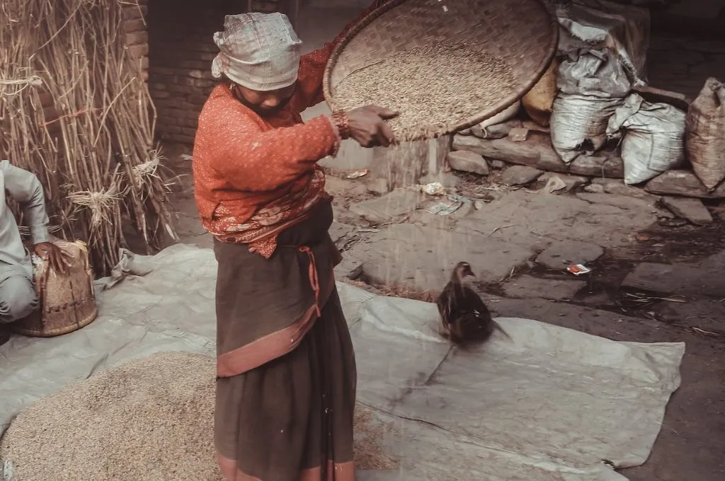 The image features a woman using a sieve to winnow grains._barter