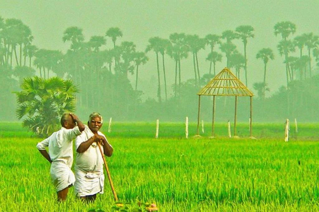 two farmers standing in a field-carbon credits