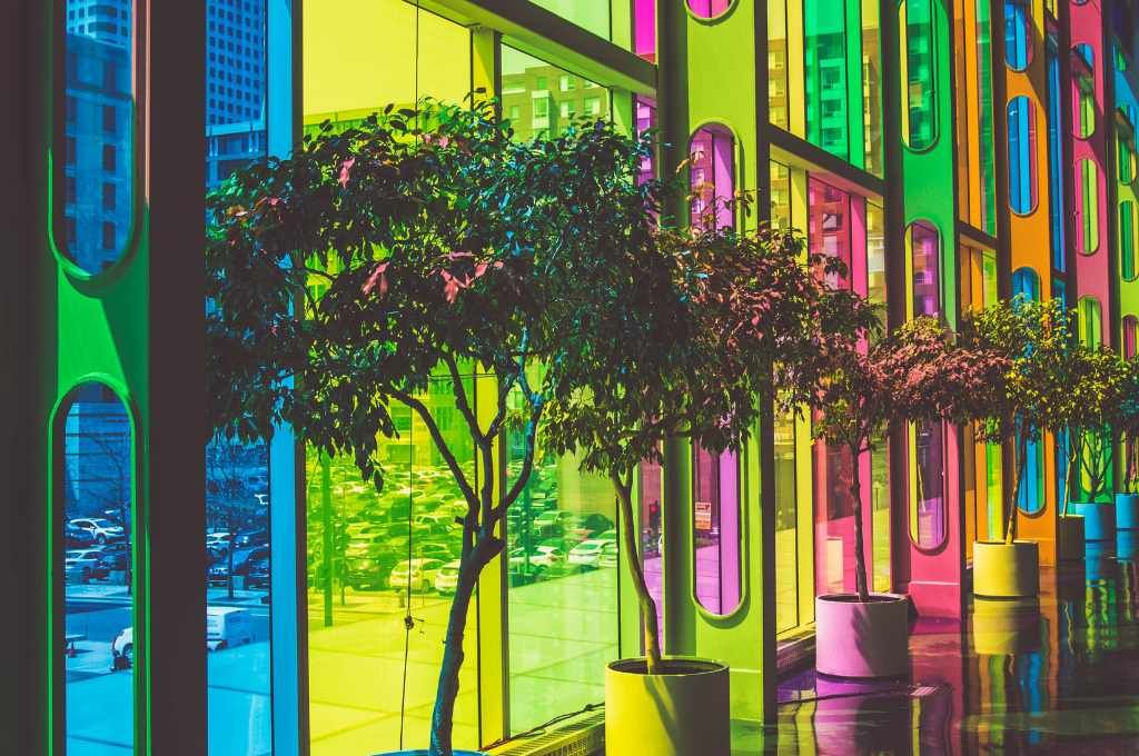 potted trees against a colourful glass wall_blended finance