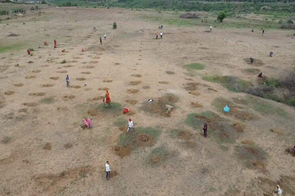 Workers digging pits during the weeding process-tiger