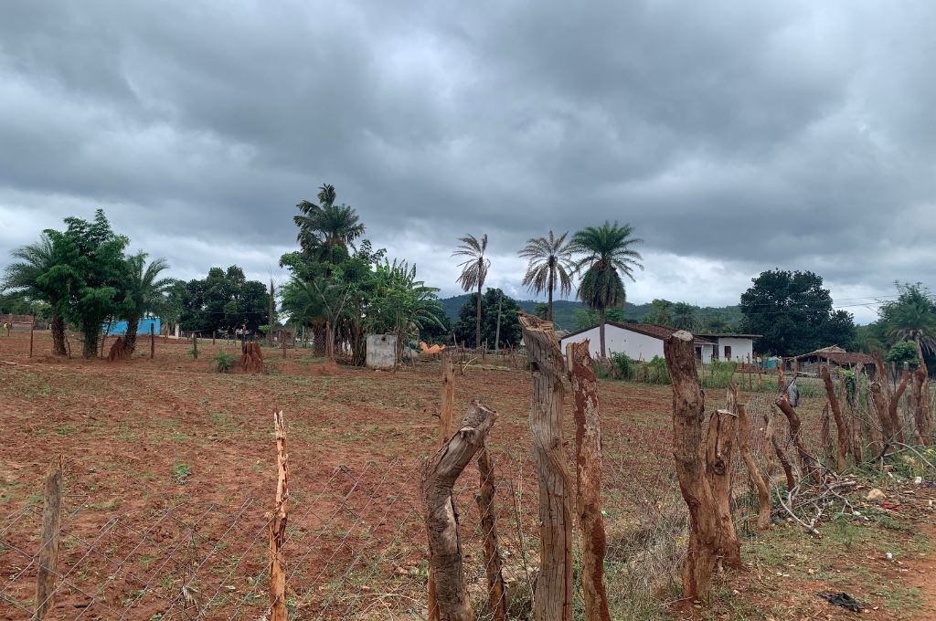 fence in kalahandi protecting agricultural land from cattle grazing patterns