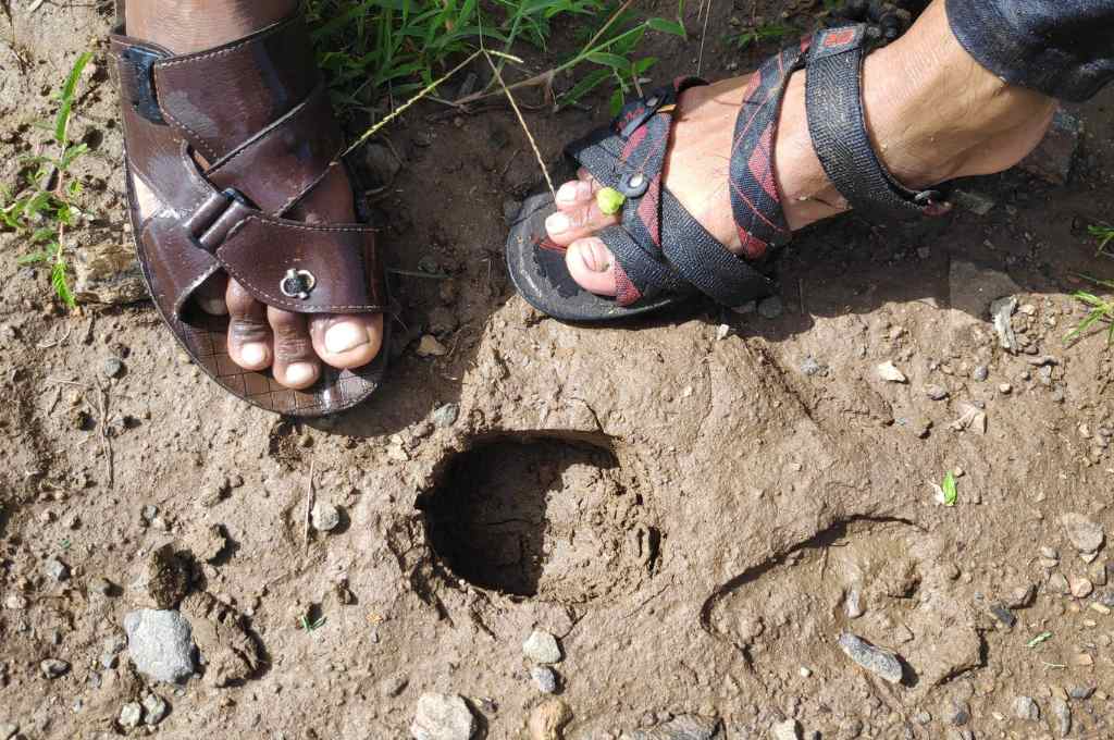 two sandalled feet next to a hoof print--common land