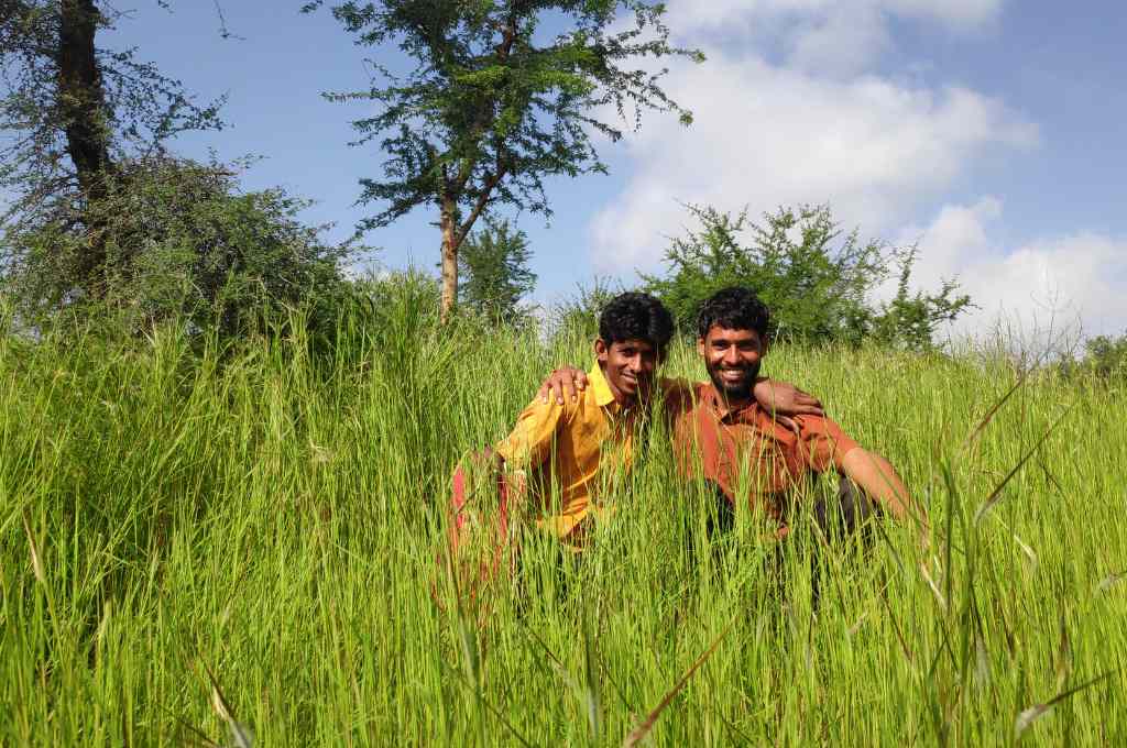 two men standing in long grasses each with an arm slung over the other's shoulder--common land