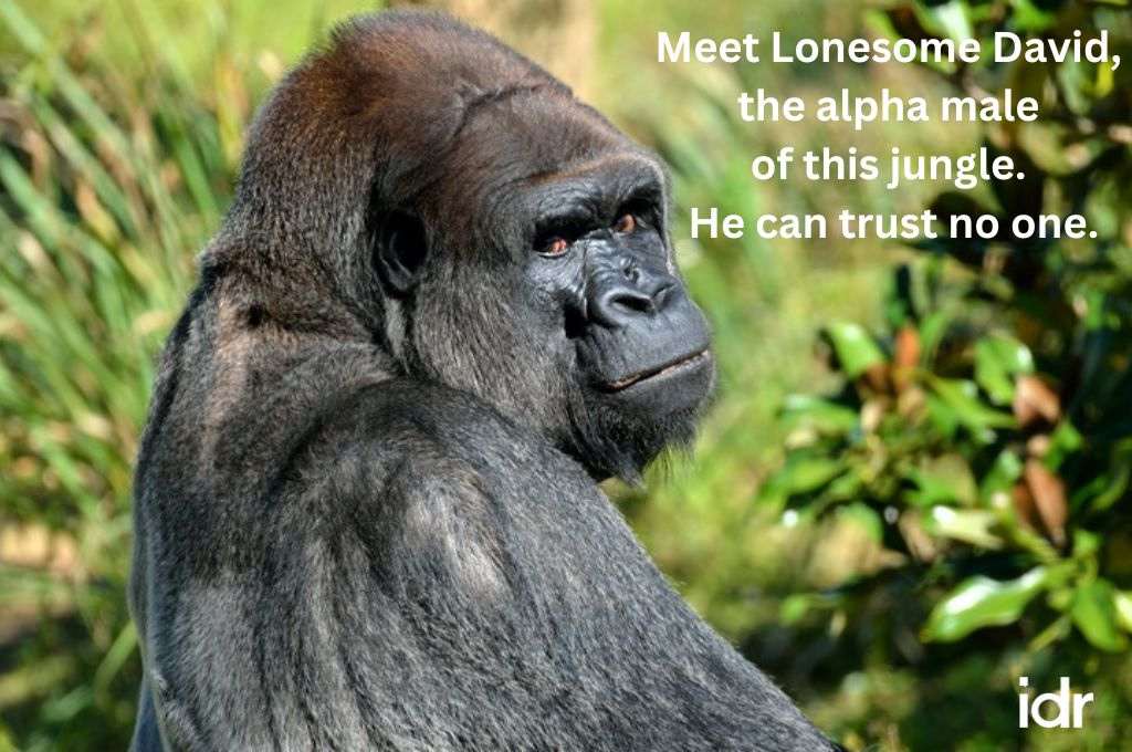 a chimpanzee with trees in the background--nonprofit humour