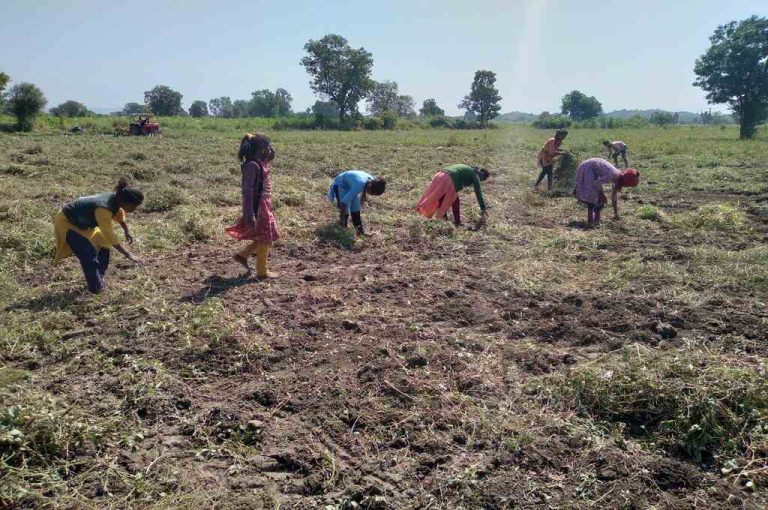 Why do labourers from Adivasi communities migrate between villages? | IDR