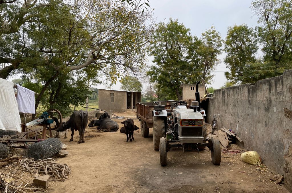tractor and cows in a house in rural India_aspirational districts