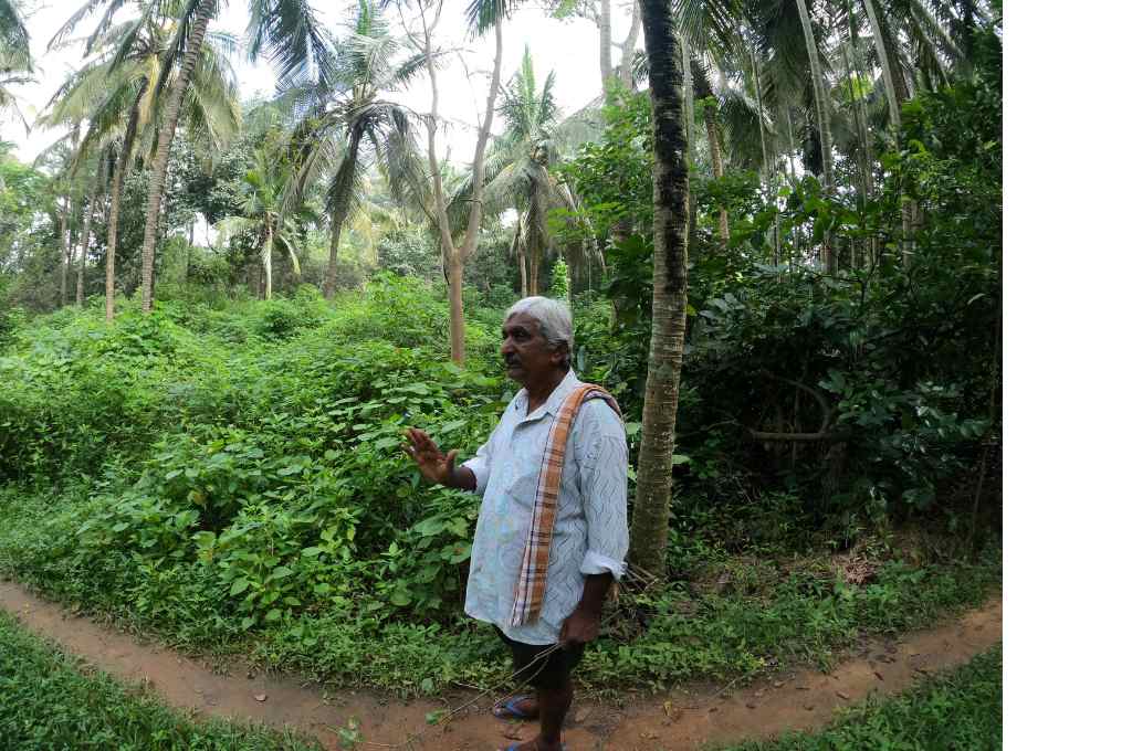 Thimarayappa engaged in conversation while standing in front of a grove of trees--bannerghata conservation