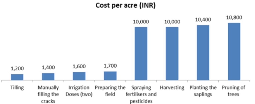 Graph showing cost per acre_kinnow cultivation