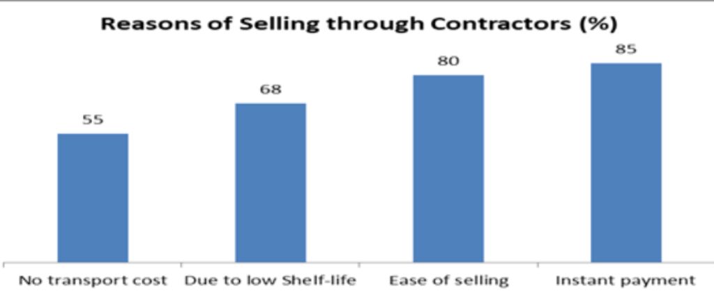 Graph explaining reason of selling through contractors in percentage_kinnow cultivation