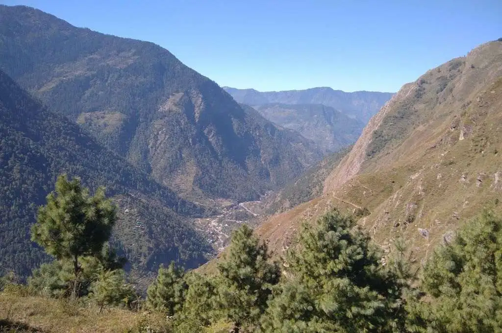 tirthan valley_himachal pine cultivation