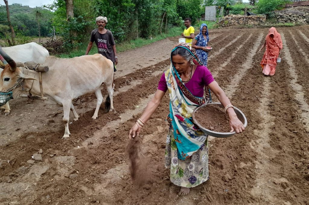 a farmer applying manure_water crisis