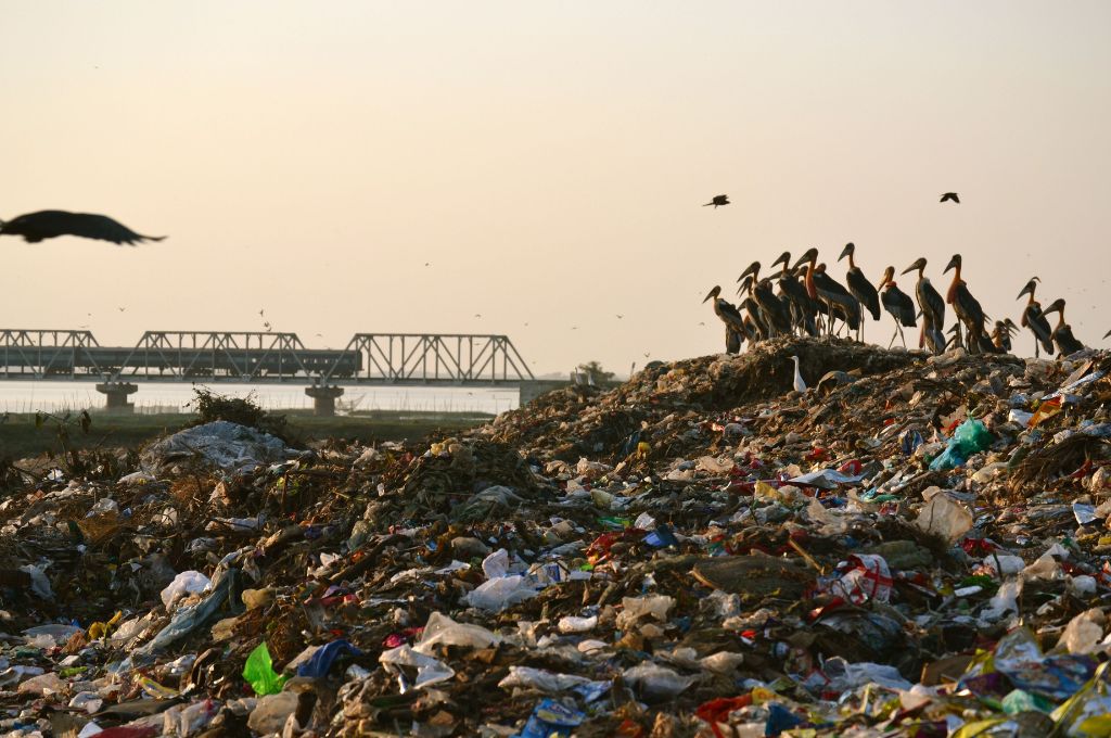 dumping ground on the banks of deepor beel_waste to energy