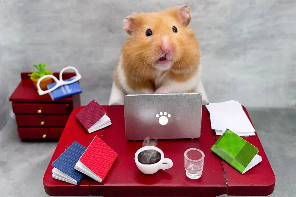 a hamster sitting with a computer_nonprofit humour