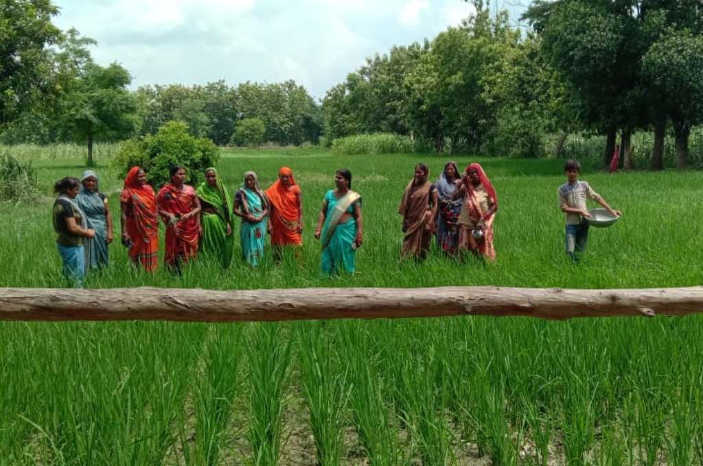 a group of women standing and talking in the field--rural working women