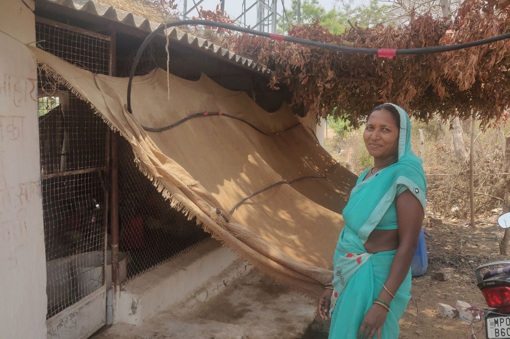 A woman standing beside a poultry farm with asbestos roof and jute curtain_heat stress