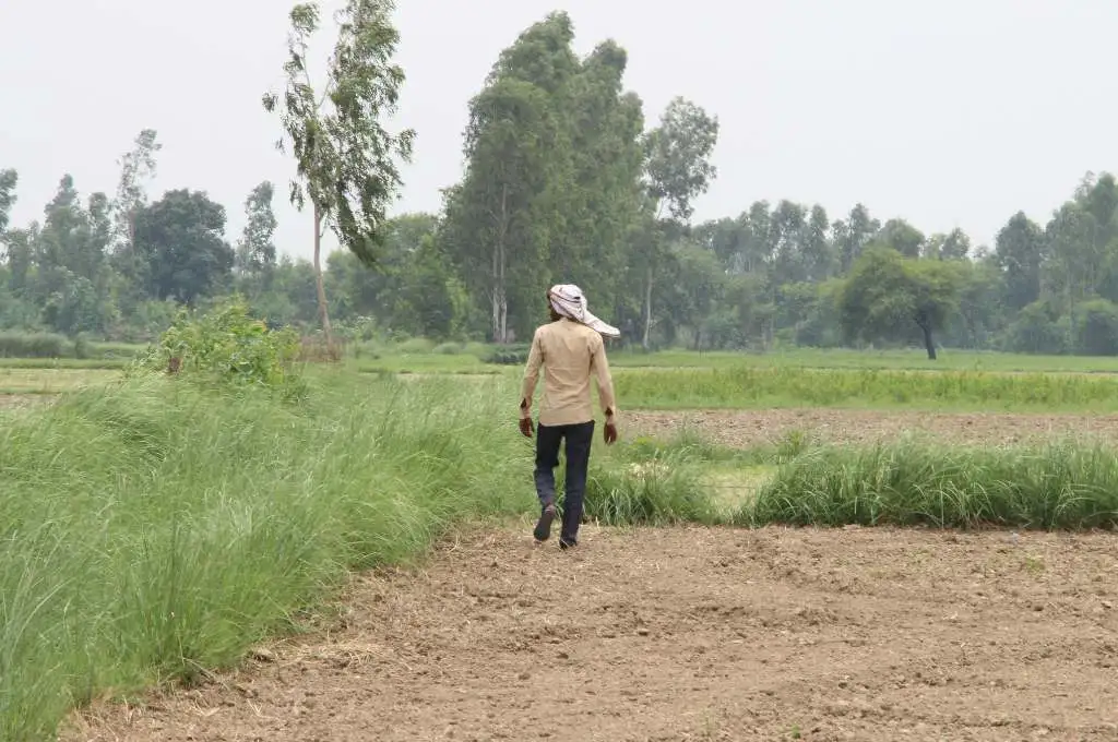 A man from the Tharu community in his field-climate change