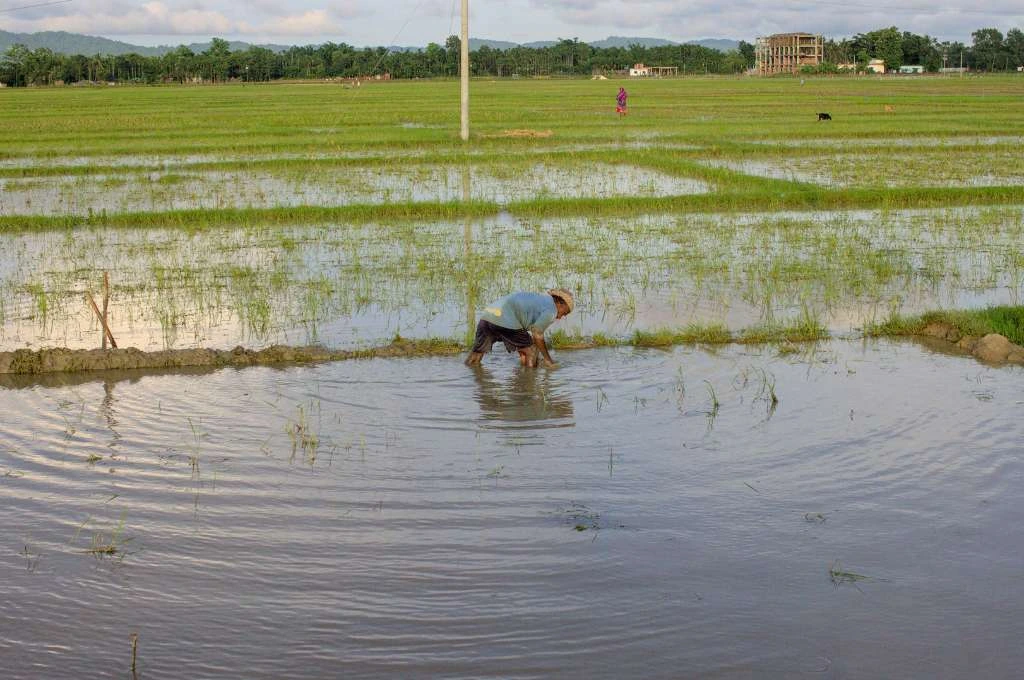 Farmer watering a field_water managers