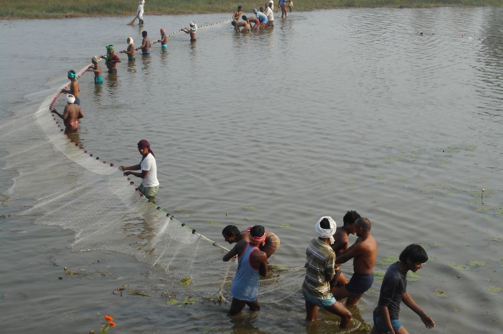 Fisherfolk handling the net in the waters_traditional knowledge