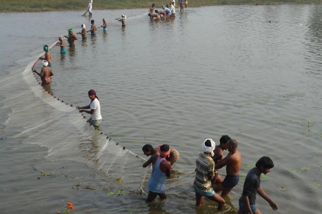 Fisherfolks handling the net in the waters_traditional knowledge