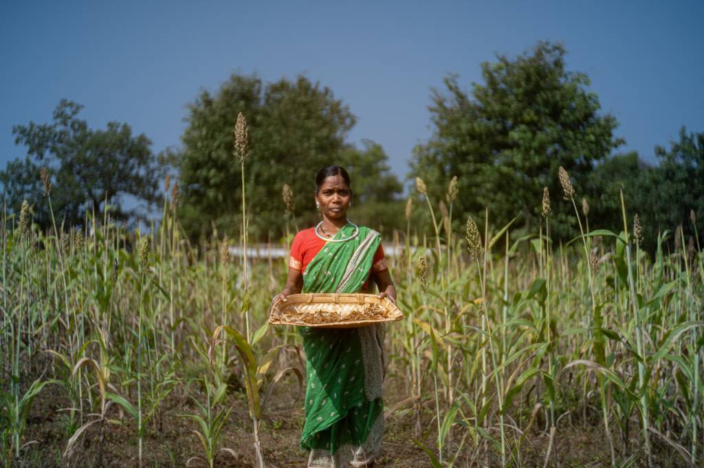 Sundari Bai stands in front of her field of jowar millets (sorghum) during the winter harvest in Chichrangpur village, Madhya Pradesh.