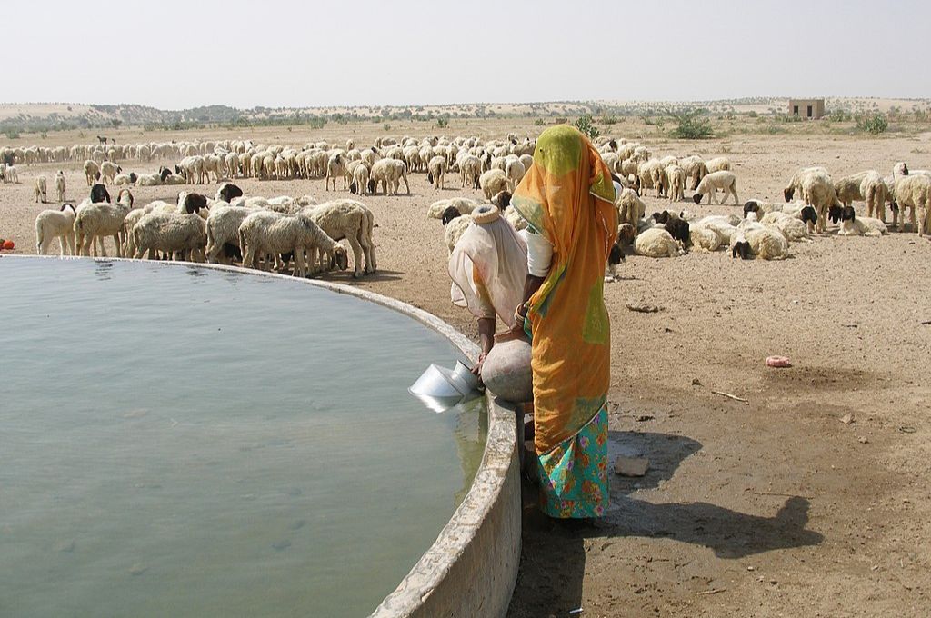 A woman drawing water from a well in thar desert_feminist perspective