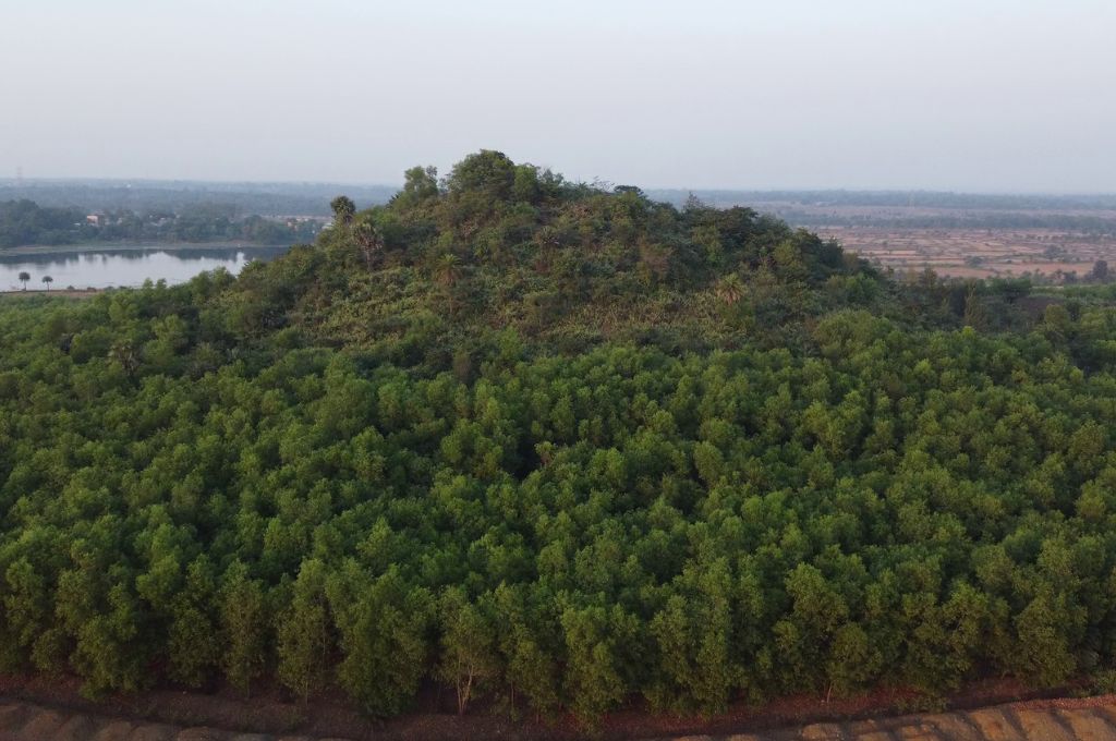 A hillock covered with trees with a water body and clear skies in the background--reforestation