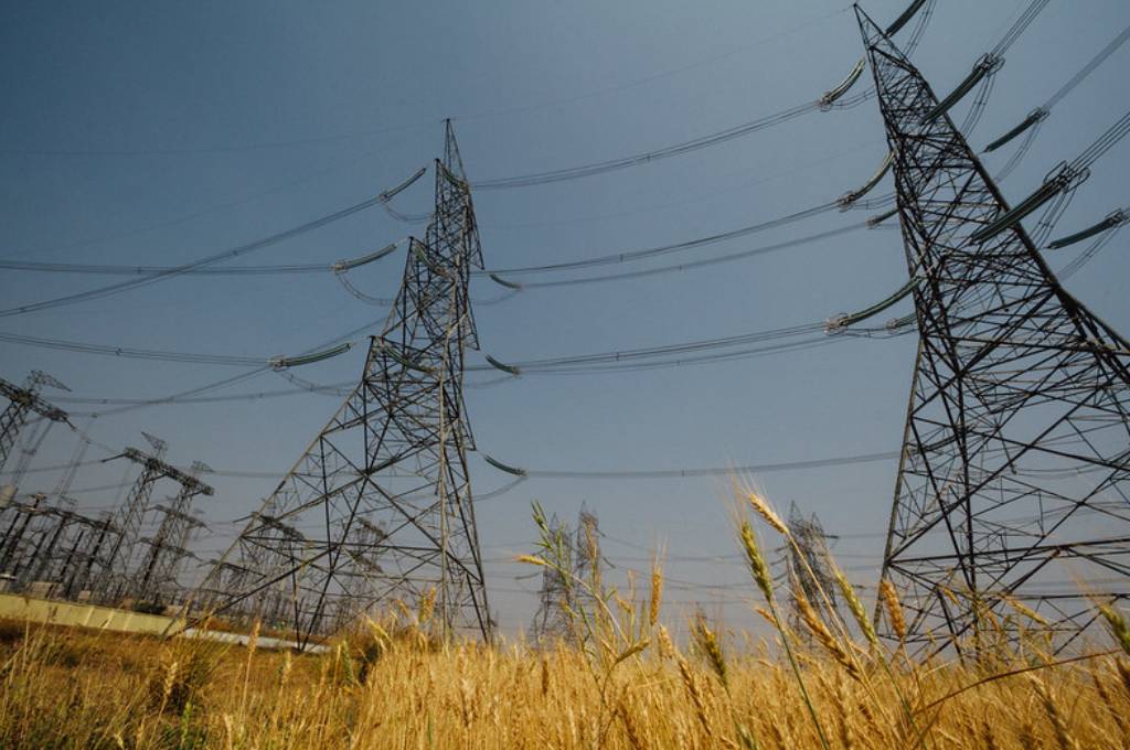 two electricity towers standing in a field of wheat-DPI