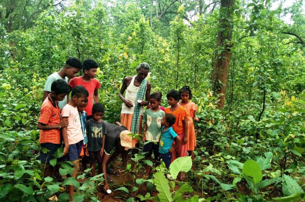 A group of children in the forest_forest