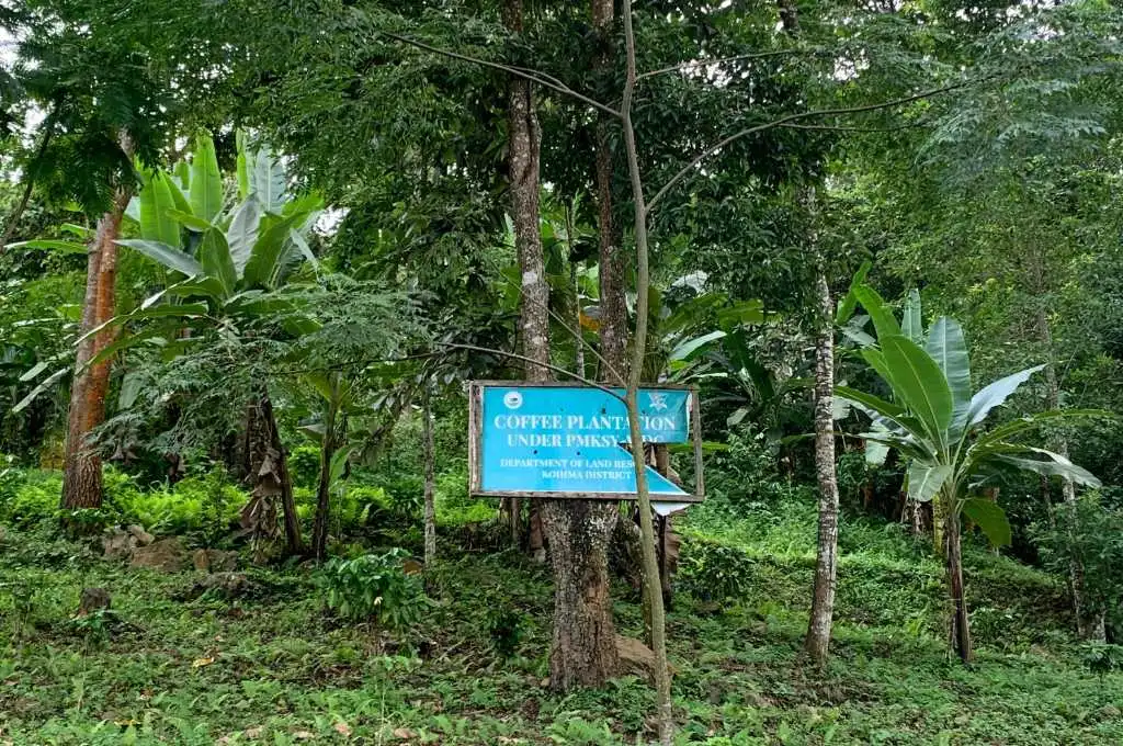 a coffee plantation with a sign in the middle