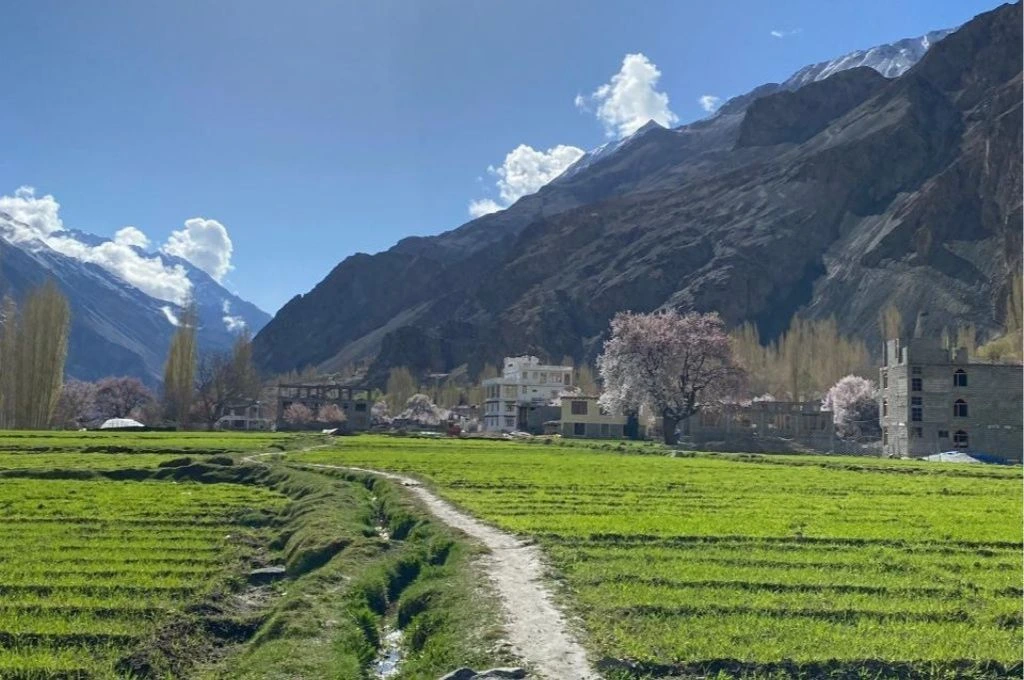 A green field with houses and mountains in the background_tourism