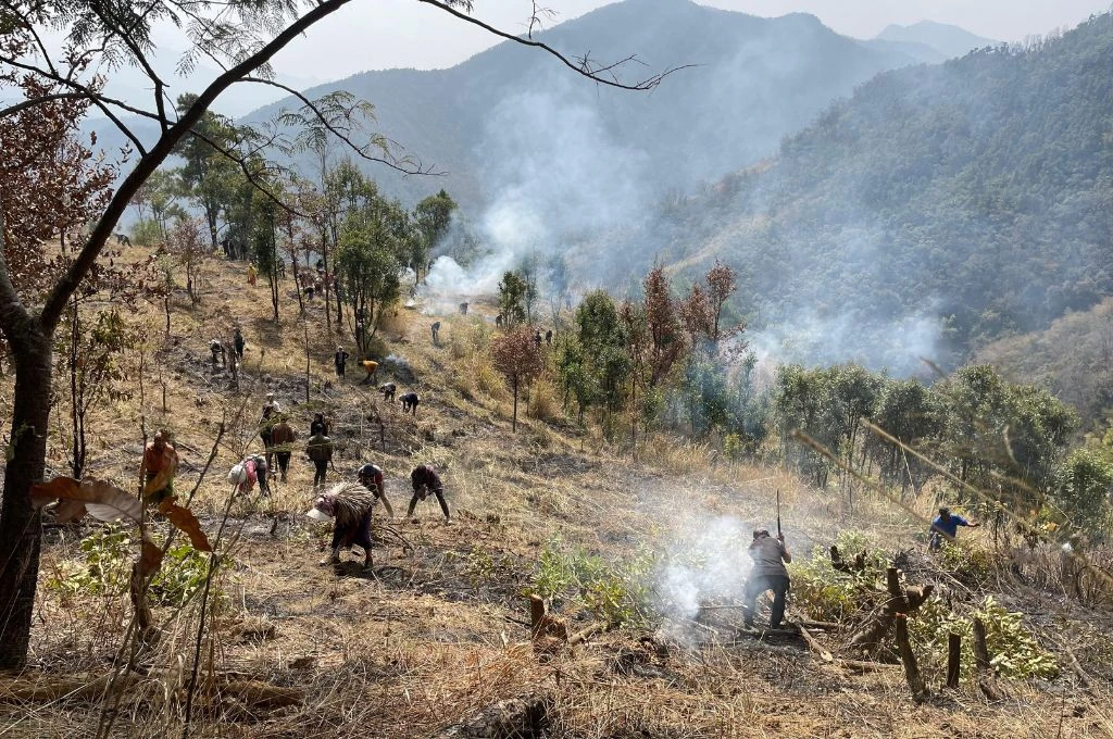 clearing of land and plantation of acorn by the members of thestumi village_community conservation