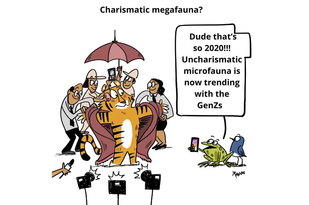 a cartoon about climate jargon 'microfauna' trending with GenZ, and a tiger disrobing in front of papparazzi-nonprofit humour