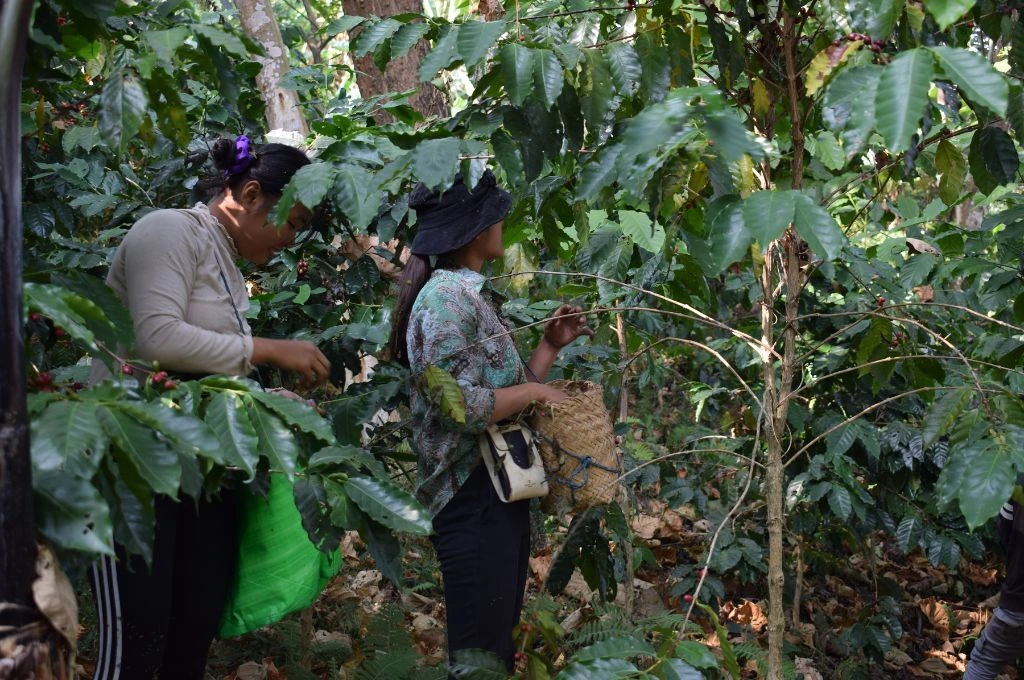 Two women in a forest in Nagaland_community conservation