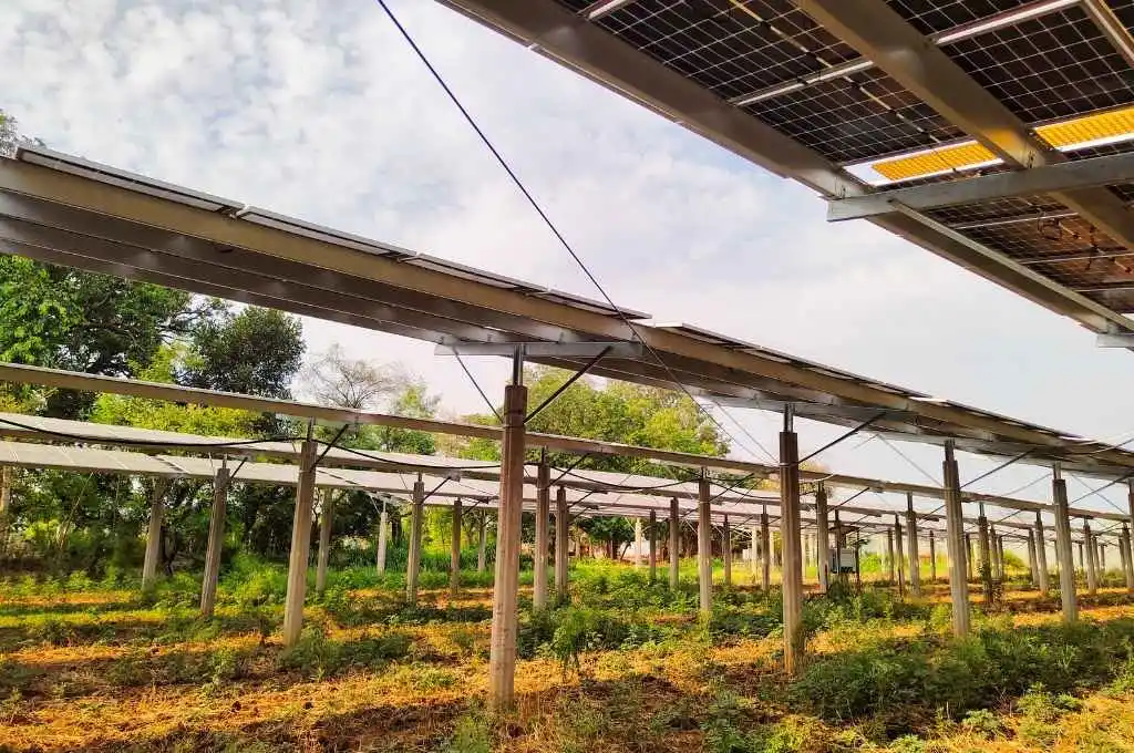 an agrivoltaic plant in madhya pradesh--agrivoltaics