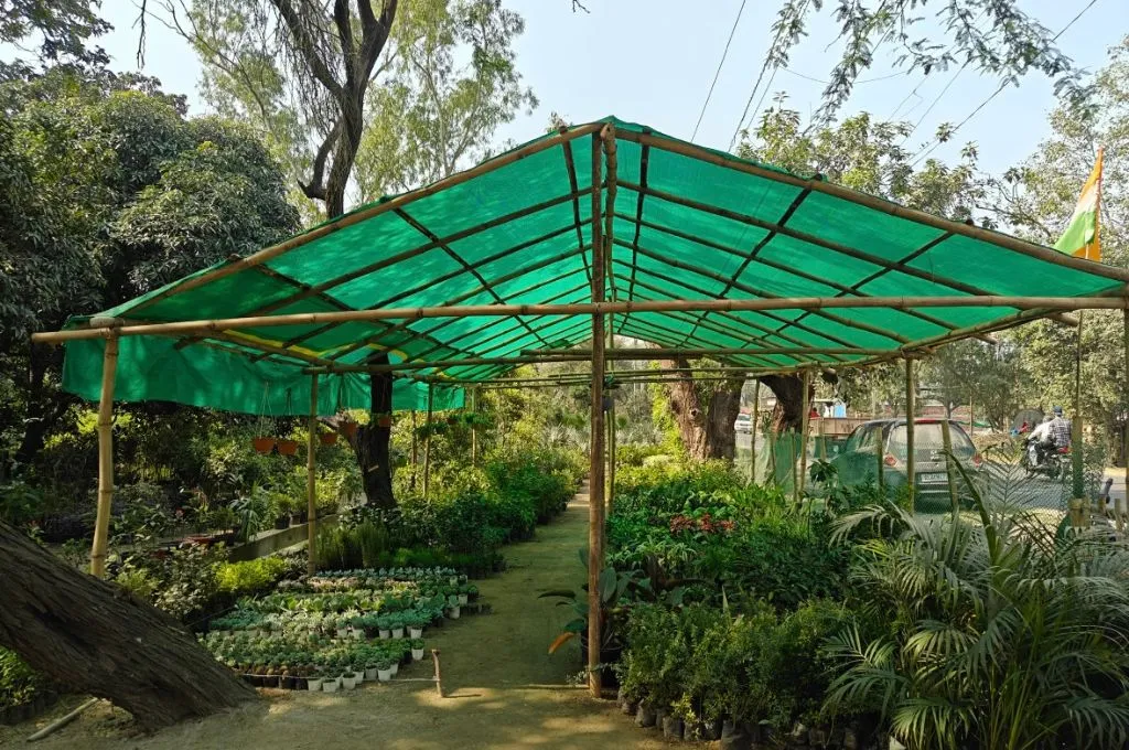 a plant nursery covered with green tarpaulin- nursery workers