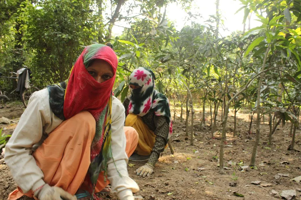 two women who are squatted and cleaning the ground of the plant nursery-nursery workers