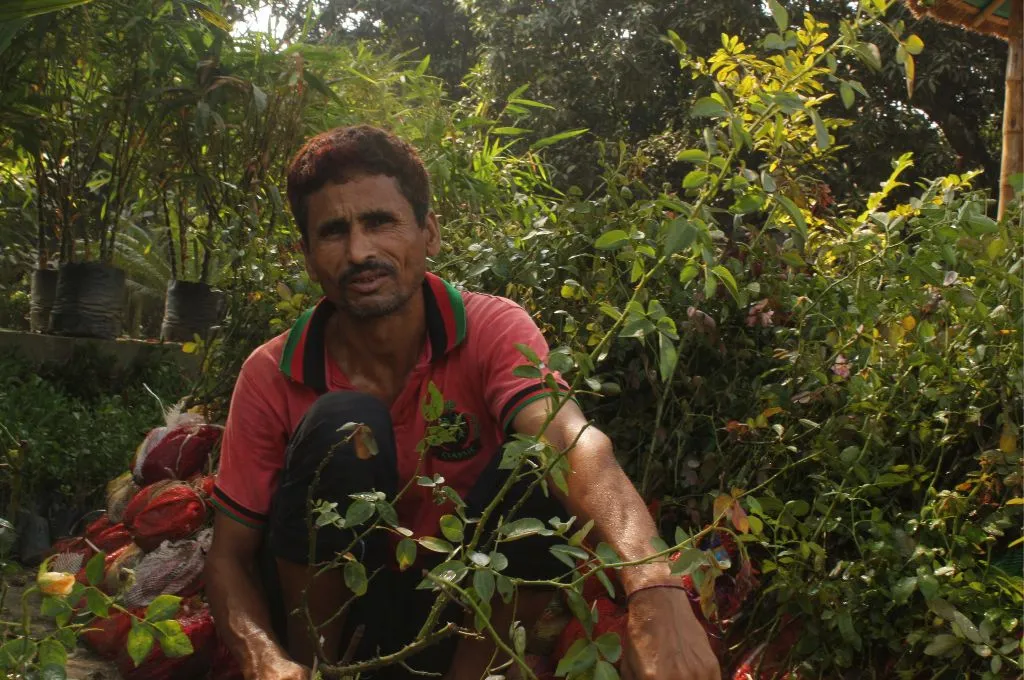 a male nursery worker sitting in the middle of plants- nursery workers