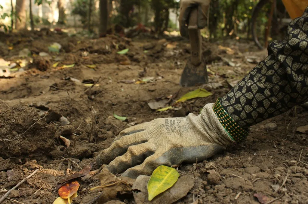 a hand wearing a glove working in mud-nursery