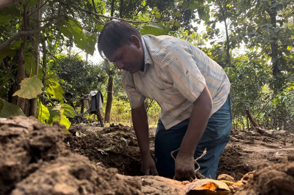 a male worker taking out a cultivated plant from the ground-nursery workers