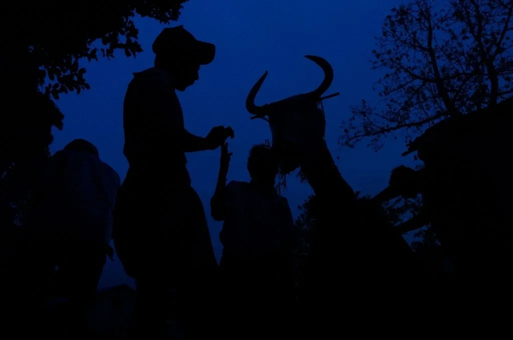 the silhouettes of a two people and a horned indian gaur in a doddu aatam play--irula tribe